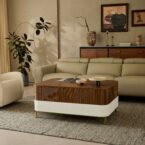 מזנון דגם ראם