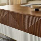 מזנון דגם ראם