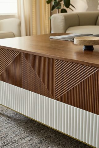 מזנון דגם ראם