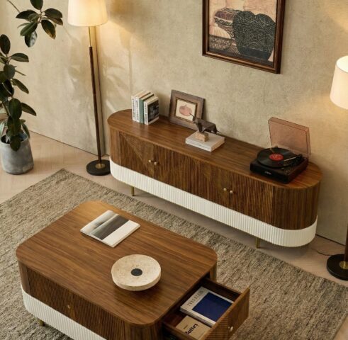 מזנון דגם ראם