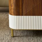 מזנון דגם ראם