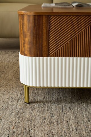 מזנון דגם ראם