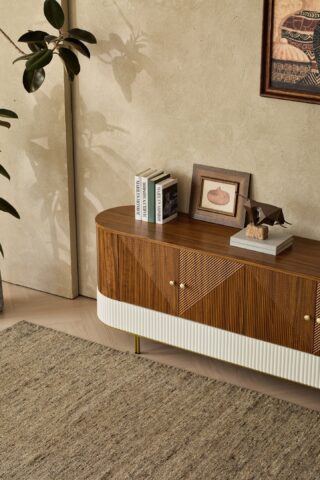 מזנון דגם ראם