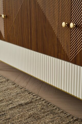 מזנון דגם ראם