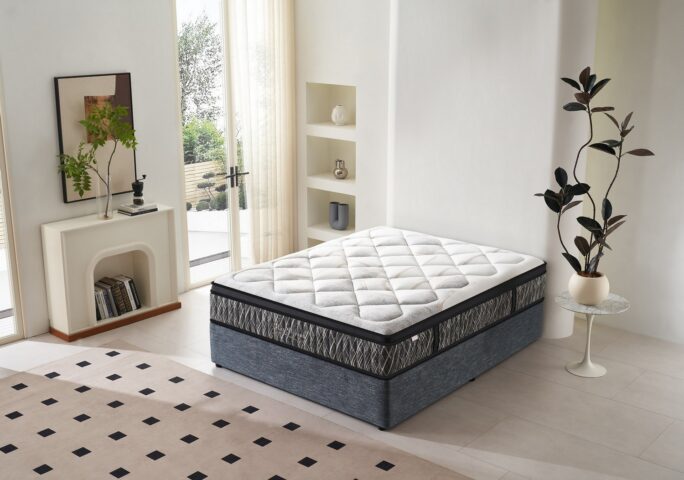 מזרן דגם ניס